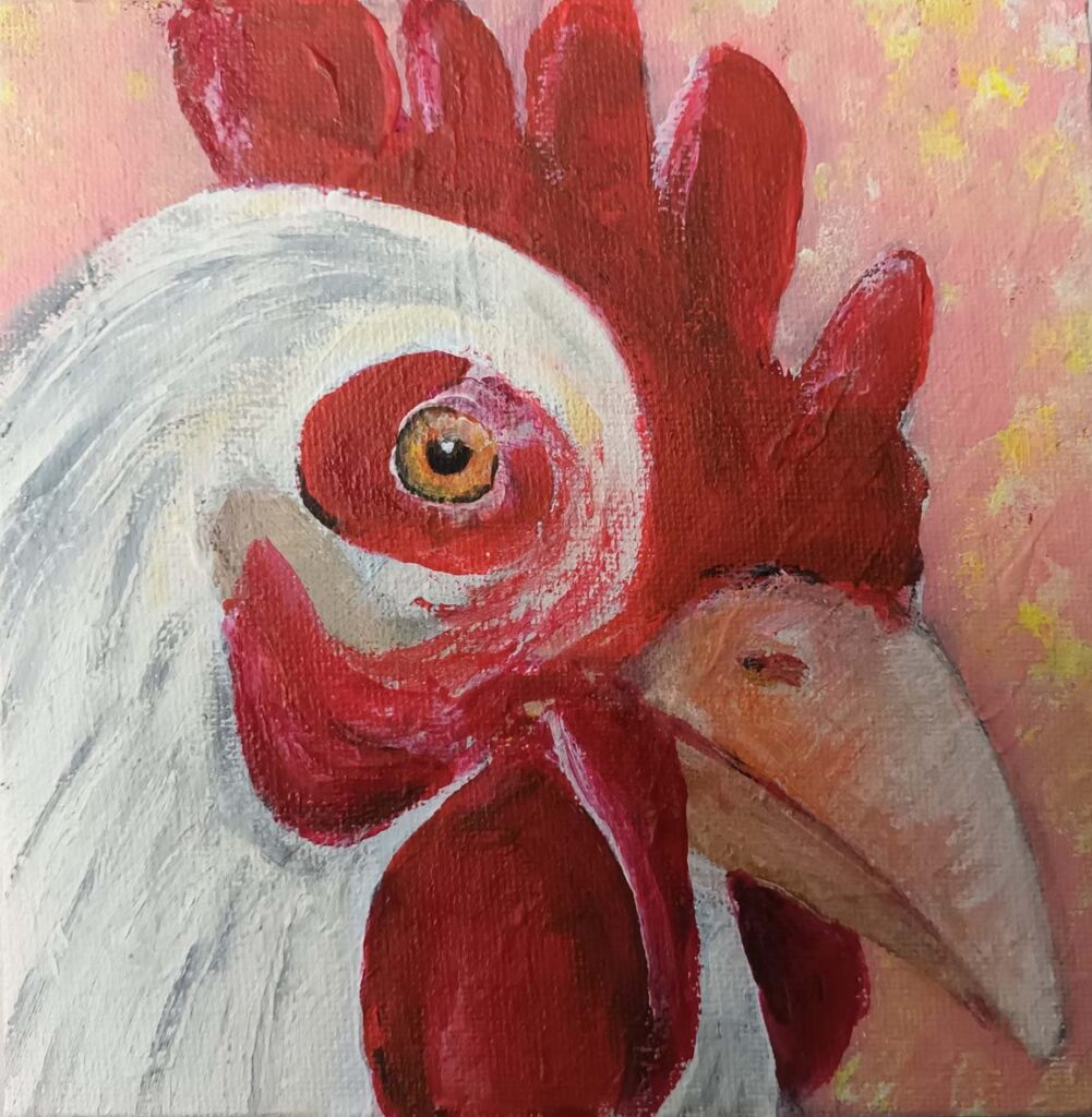 Gallina bianca, 15x15cm