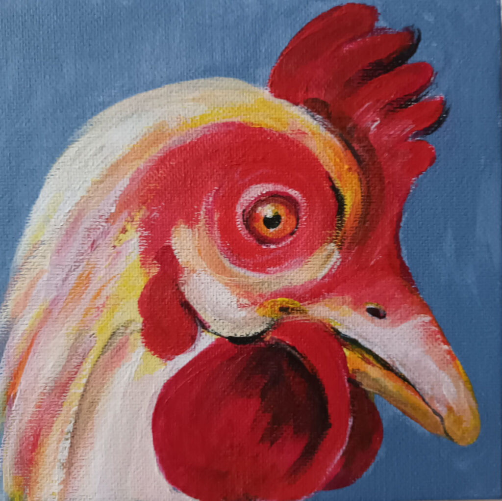 Gallinella, 15x15,cm